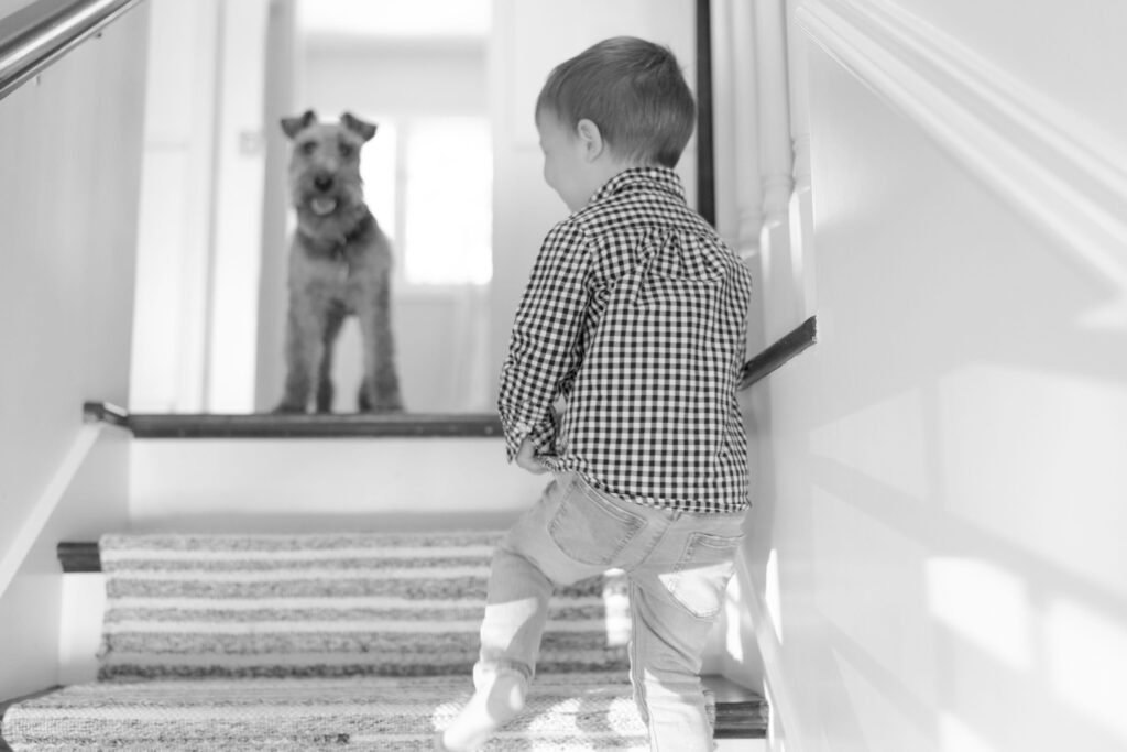 Little boy climbs up the stairs while the family's pet dog stands on top of the flight of stairs.