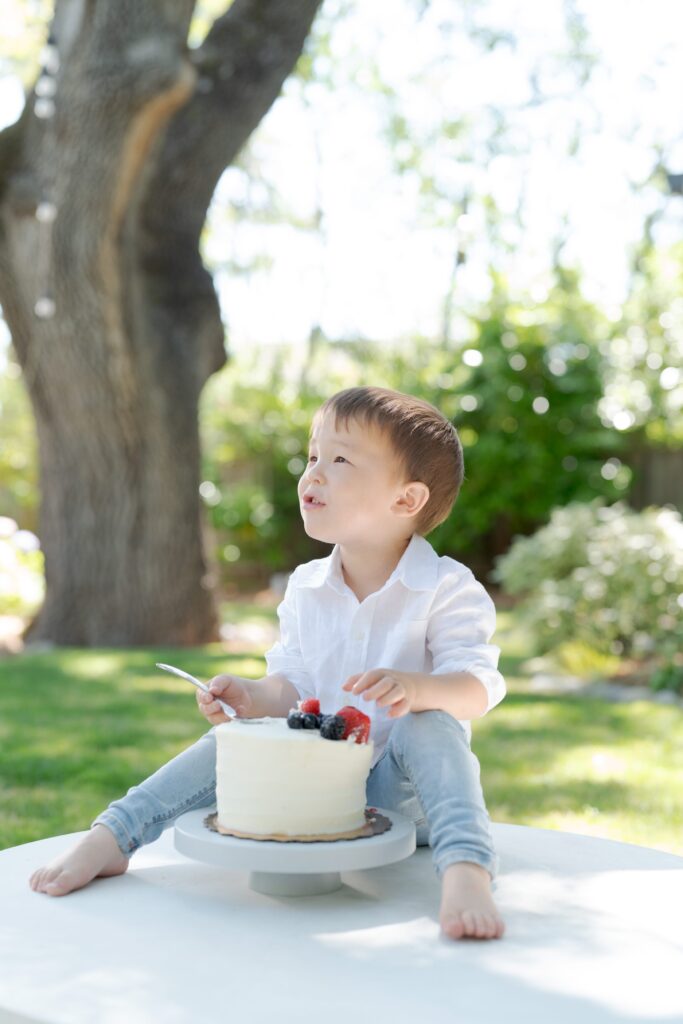 Creative family photography involving a cake by Robin Jolin.