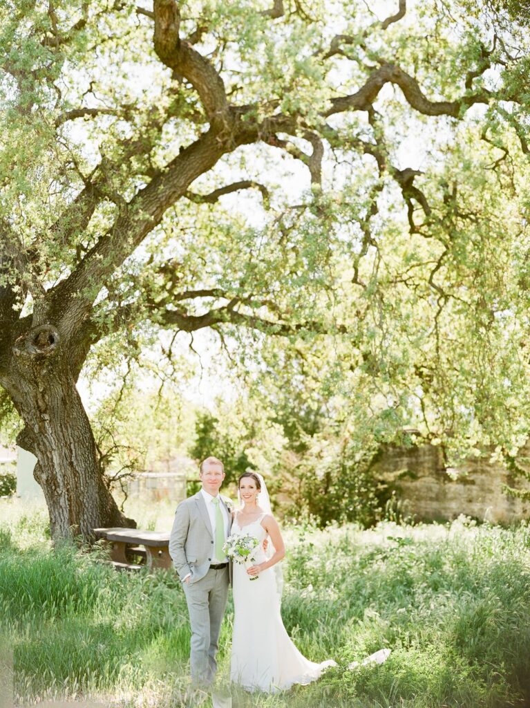 A married couple in a field. a color image with a huge oak tree.