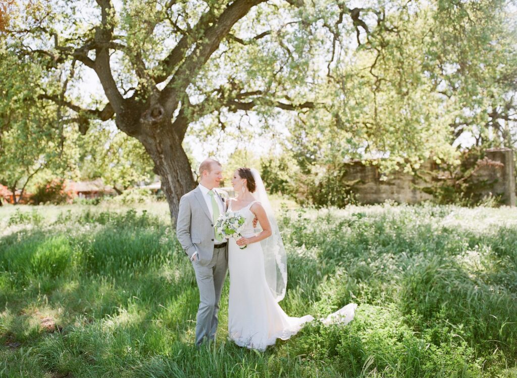 A color image of a couple in a field with a huge oak tree in the background.