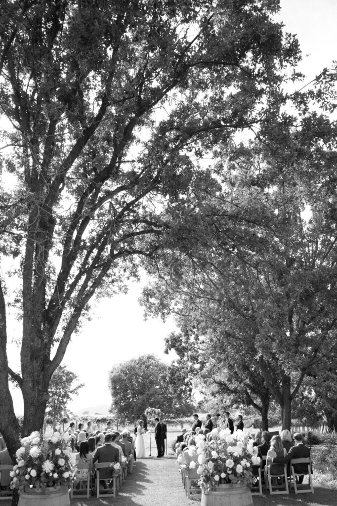 black and white image of a wedding ceremony with touring trees. 