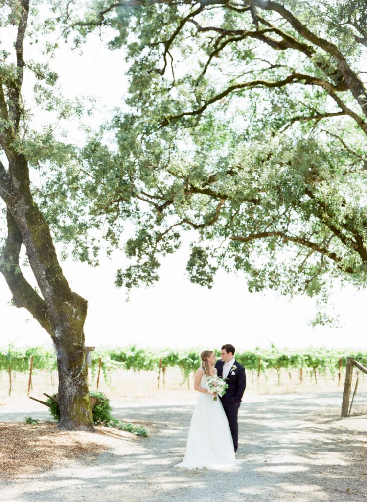 color image of a bride and groom. far away with a large oak tree. 