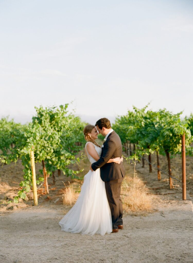 bride and groom standing in a vinyard with yellow like on his back. 
