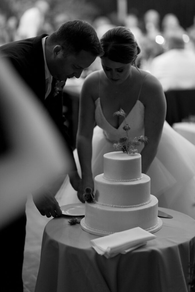 Bride and groom during their cake cutting ceremony.