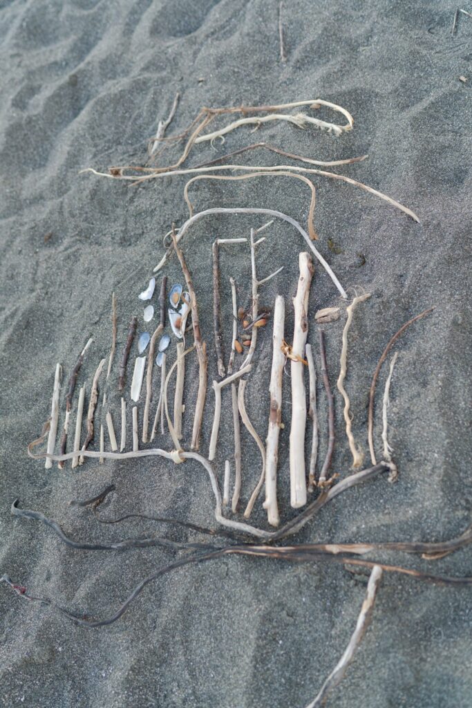 Sticks and sea-shells art craft at the beach sand.