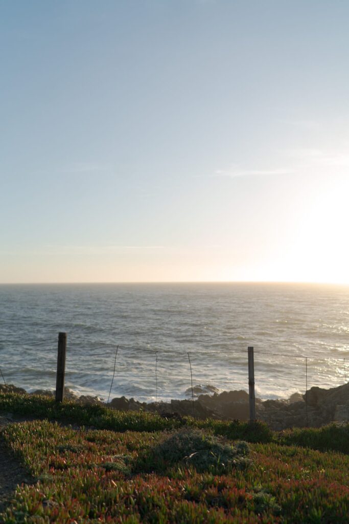 North Pacific Ocean during sunrise captured from Bodega Hiking Area.