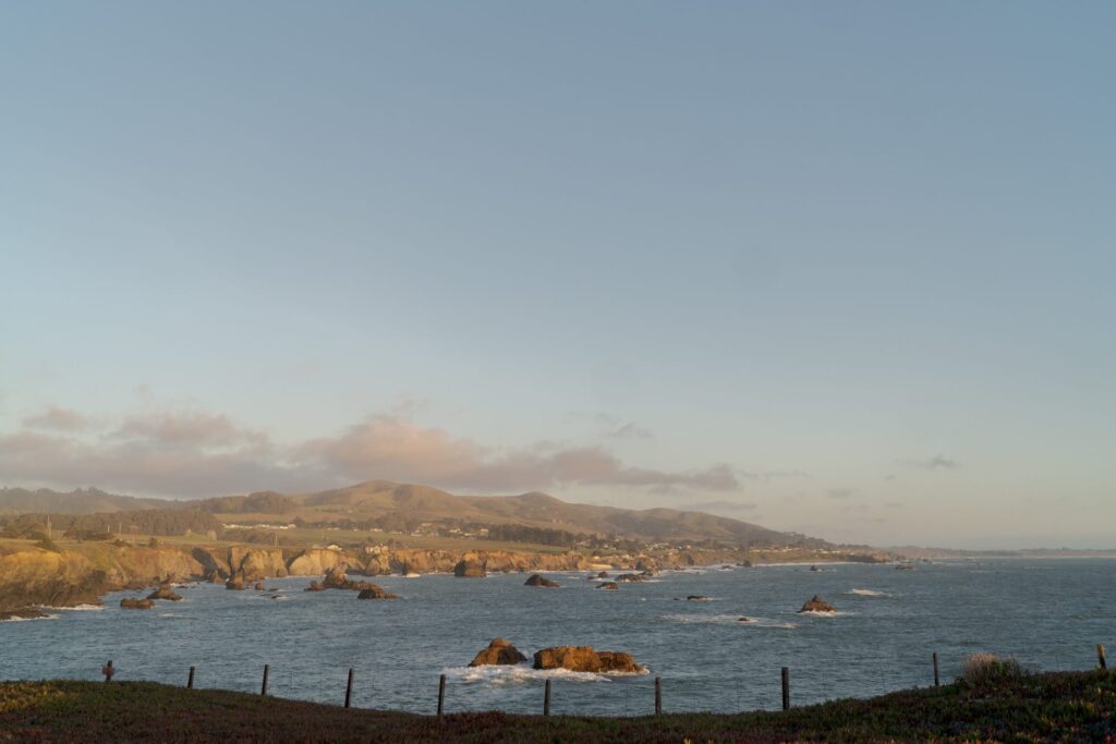 Bodega Bay view