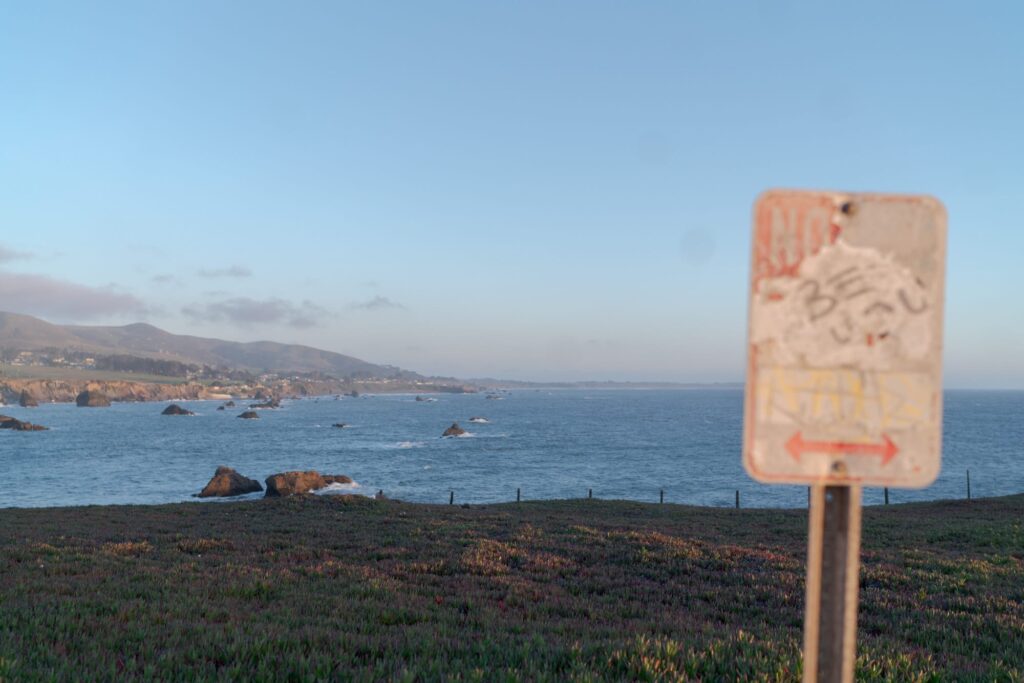 Bodega Bay in the evening.