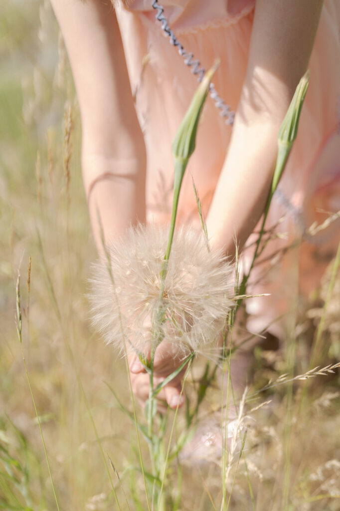 Little girl holds a wild flower.