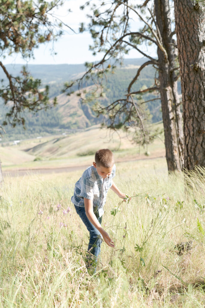 Boy plucks wildflowers in a field with wild grasses.