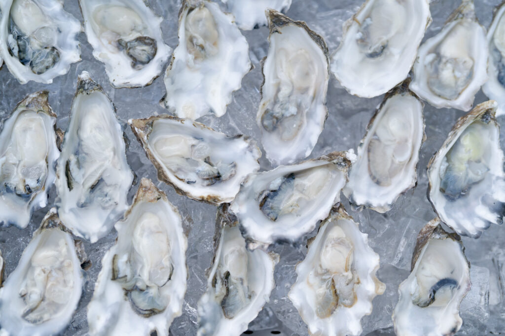 Oysters at the wedding cocktail hour.