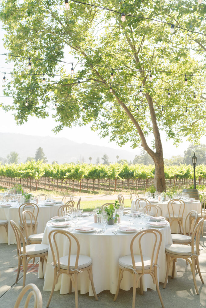 Outdoor wedding reception venue with beautiful arrangement of tables, white tablecloth, plates, and wooden chairs in front of a vineyard.