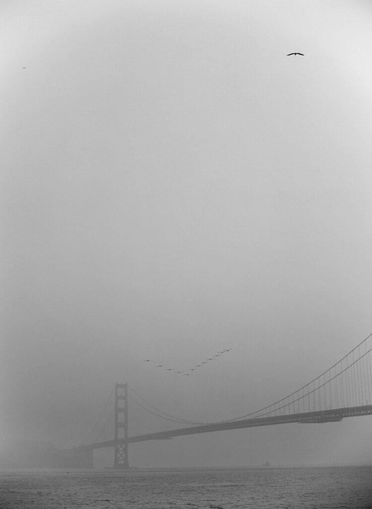 The Golden Gate Bridge on a foggy morning.