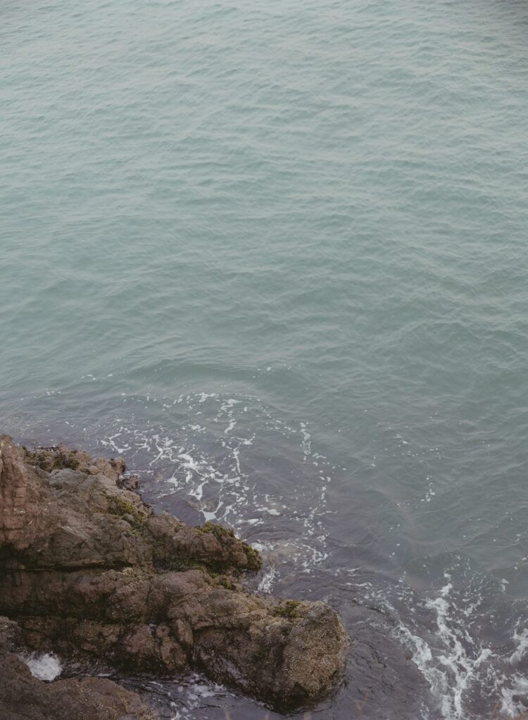 Along the shores of the Golden Gate Bridge.