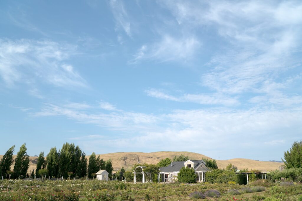 Amazing scenery of grasslands and blue skies with scattered clouds at Garden Valley Ranch, Petaluma, Sonoma County, California.