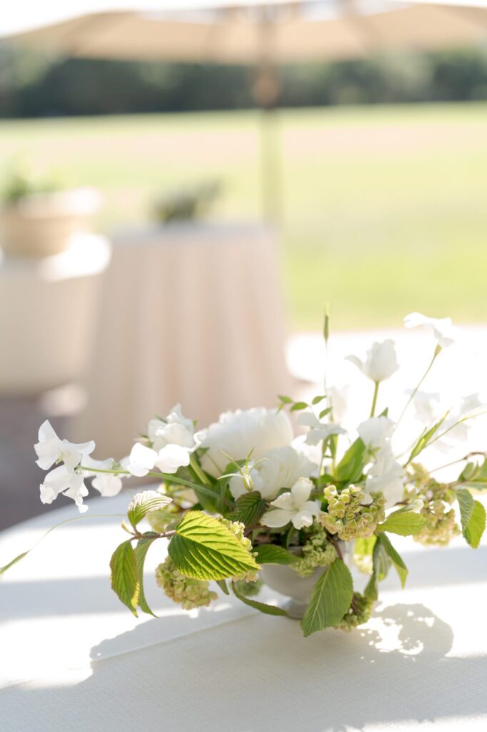 Small plant with white flowers kept in a cute vase.